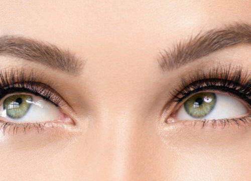 Photo of a woman's brows, lashes, and green eyes